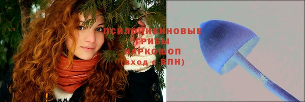 стаф Зеленокумск