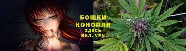 стаф Зеленокумск