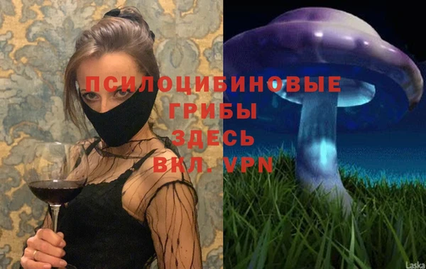 герыч Зерноград