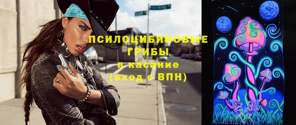 стаф Зеленокумск