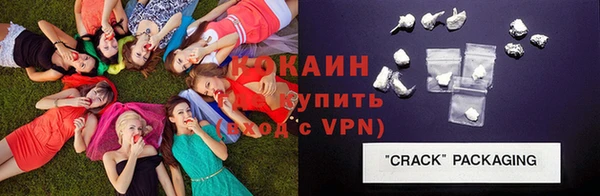 стаф Зеленокумск