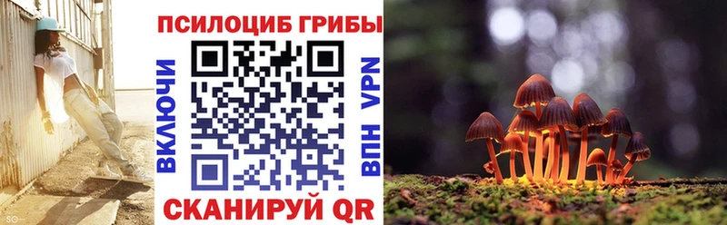 Псилоцибиновые грибы мухоморы  гидра маркетплейс  Торжок  как найти  