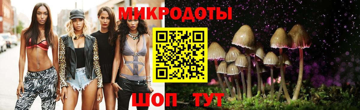 Торжок  Псилоцибиновые грибы мицелий  Вход с VPN  Псилоцибиновые грибы Cubensis 