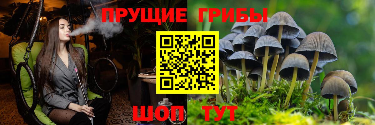 Псилоцибиновые грибы мухоморы Торжок